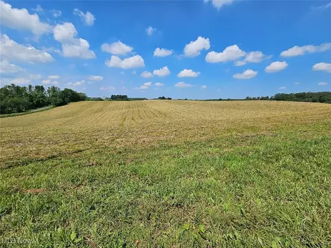 11583 Bower Rd, Minerva, OH 44657 photo 18