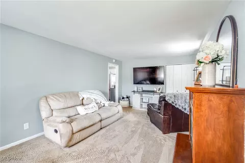 597 Herbert Rd, Akron, OH 44312 photo 6