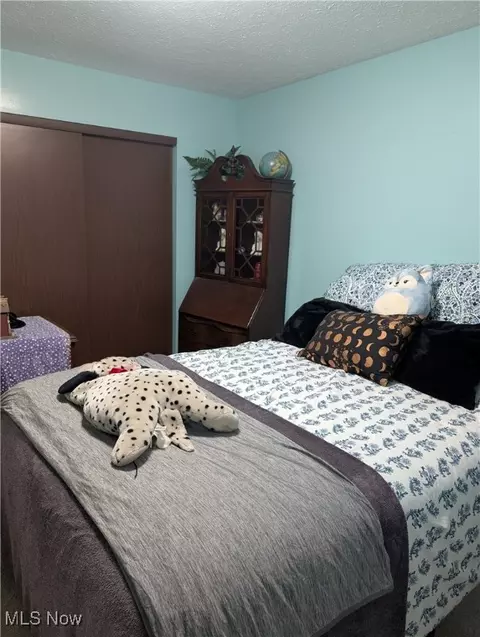 384 Moore Rd, Akron, OH 44319 photo 12