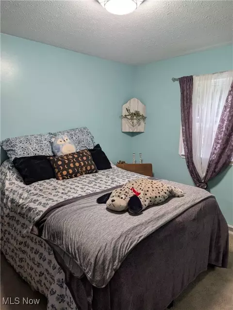 384 Moore Rd, Akron, OH 44319 photo 13