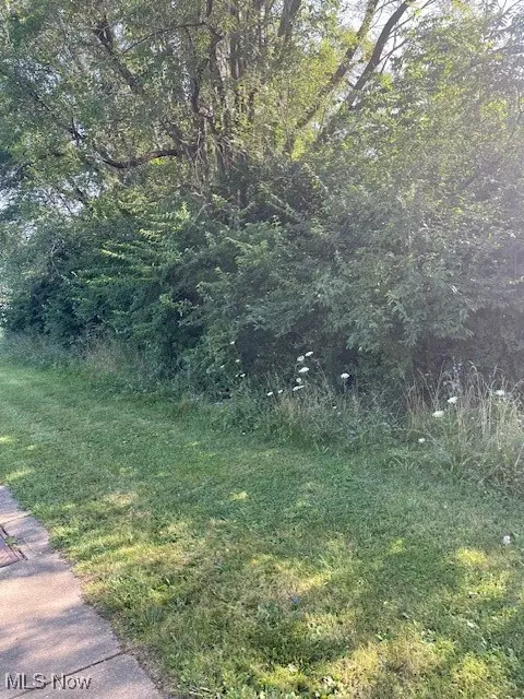 Brecksville Road, Independence, OH 44131