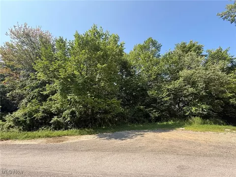 Connie Street, Steubenville, OH 43952