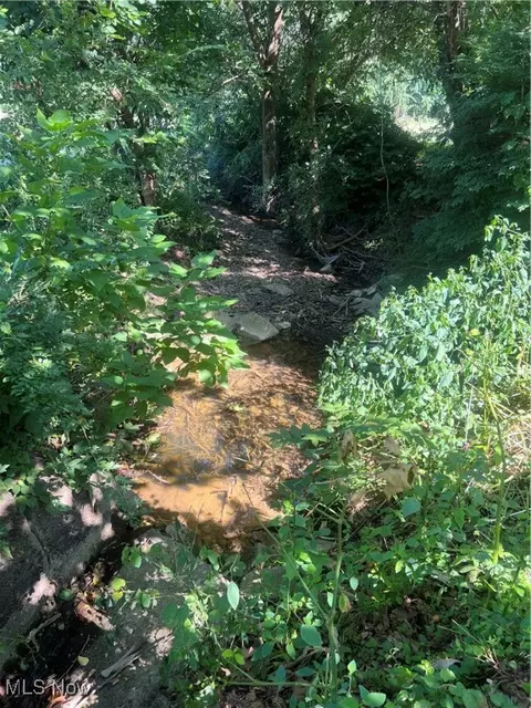 View/Area - 7255 Duncan Run Rd, Philo, OH 43771 photo 1 of 1