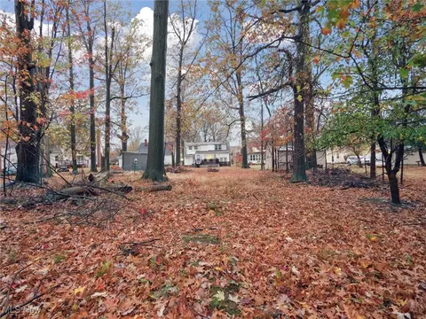 Exterior - 415 E 266 St, Euclid, OH 44132 photo 7 of 9