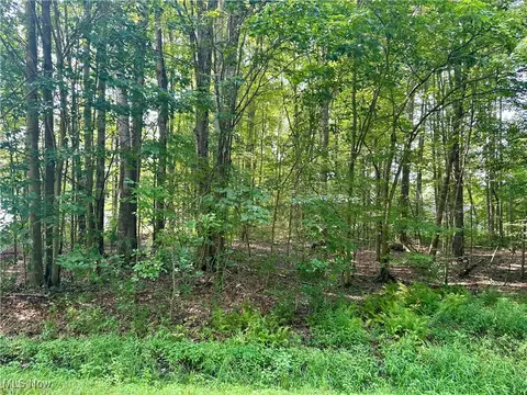 2047 N Park Ln, Roaming Shores, OH 44084