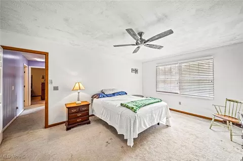 10121 S Hampton Ct, Concord, OH 44060 photo 16