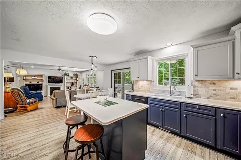 10121 S Hampton Ct, Concord, OH 44060 photo 7