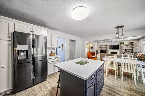 10121 S Hampton Ct, Concord, OH 44060 photo 9