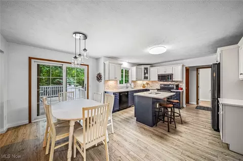 10121 S Hampton Ct, Concord, OH 44060 photo 8