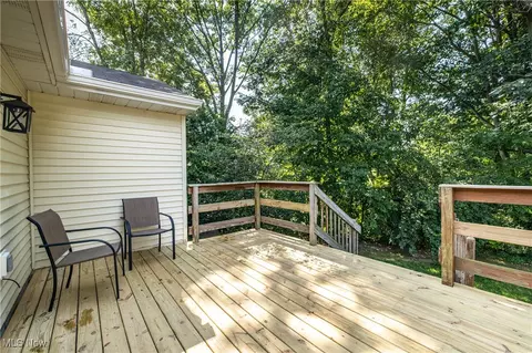 Exterior - 243 Forest Park Dr, Lagrange, OH 44050 photo 4 of 8