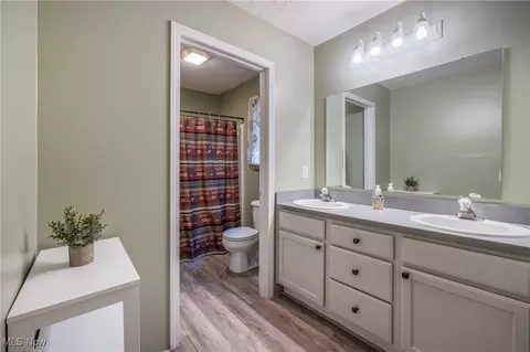 Bath - 243 Forest Park Dr, Lagrange, OH 44050 photo 1 of 2