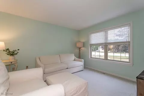 4760 S Pine Ln, Perry, OH 44081 photo 17