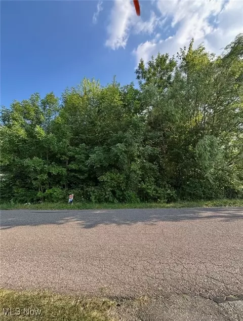 0 Moyer Ave, Youngstown, OH 44512