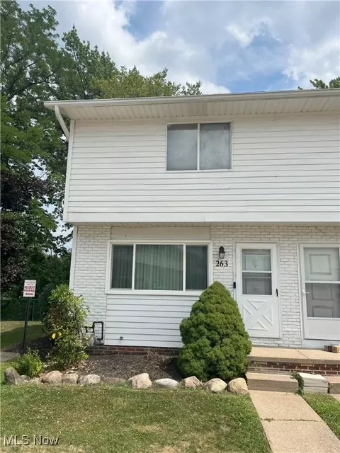 263 University Ave, Painesville, OH 44077