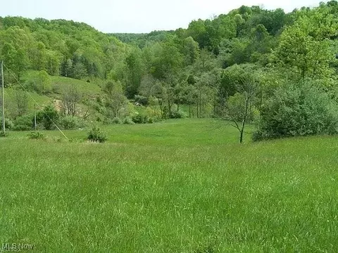 Scaffold Run, Spencer, WV 25276