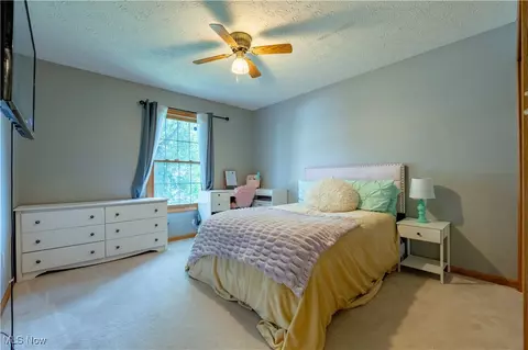 276 Horseshoe Dr, Lagrange, OH 44050 photo 14