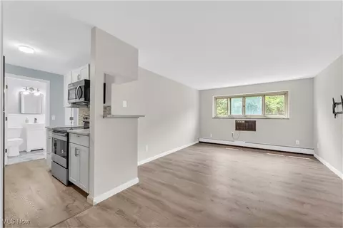 115 S Rocky River Dr, Berea, OH 44017 photo 5