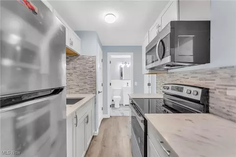 115 S Rocky River Dr, Berea, OH 44017 photo 8
