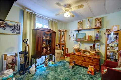 323 Max Rd, Lodi, OH 44254 photo 19
