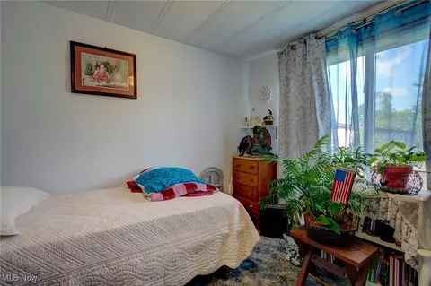 323 Max Rd, Lodi, OH 44254 photo 16
