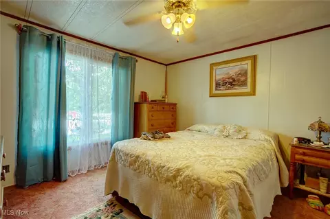 323 Max Rd, Lodi, OH 44254 photo 10