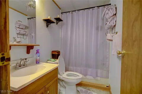 323 Max Rd, Lodi, OH 44254 photo 18