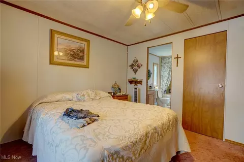 323 Max Rd, Lodi, OH 44254 photo 12