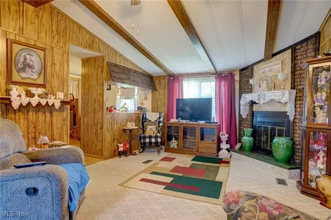 323 Max Rd, Lodi, OH 44254 photo 3