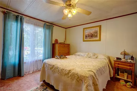323 Max Rd, Lodi, OH 44254 photo 11