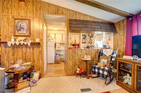 323 Max Rd, Lodi, OH 44254 photo 6