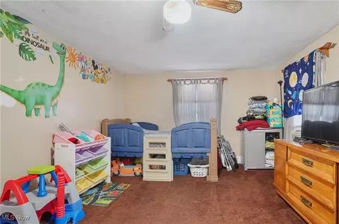 630 Ranney St, Akron, OH 44310 photo 19