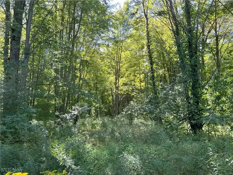 V/l Peterson Road, Jefferson, OH 44047