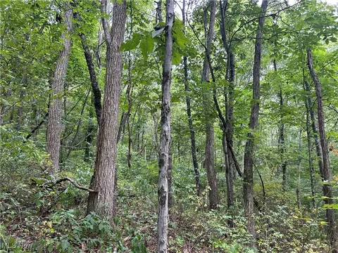 Haught, Cambridge, OH 43725 photo 8
