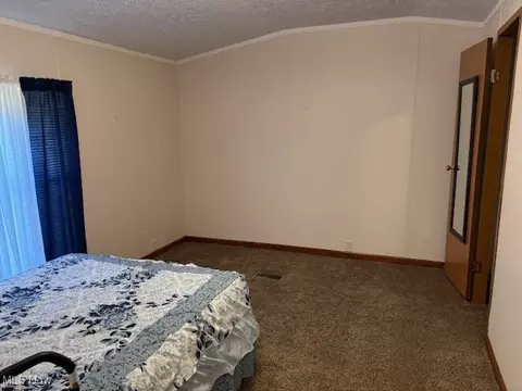 21 Redwood St, Beloit, OH 44609 photo 21