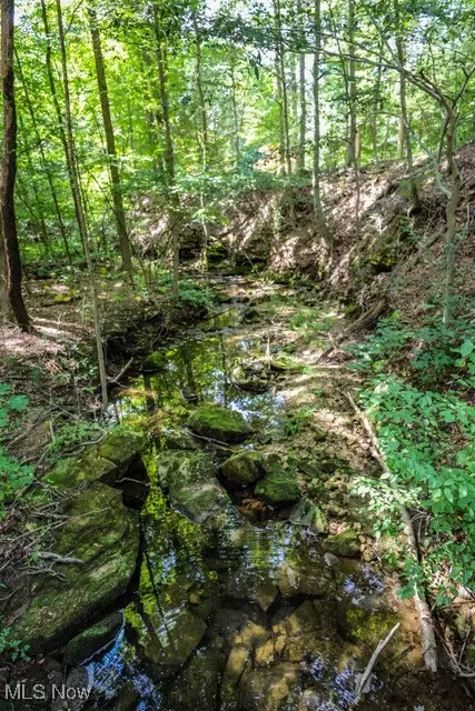 Other - 831 Meadowbrook Dr, Aurora, OH 44202 photo 11 of 11