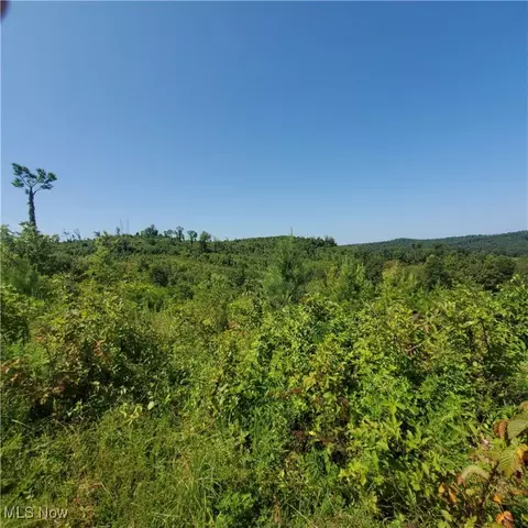 Schoolhouse Rd, Leon, WV 25123 photo 12