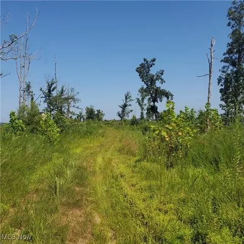Schoolhouse Rd, Leon, WV 25123 photo 4