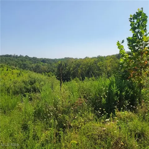 Schoolhouse Rd, Leon, WV 25123 photo 8