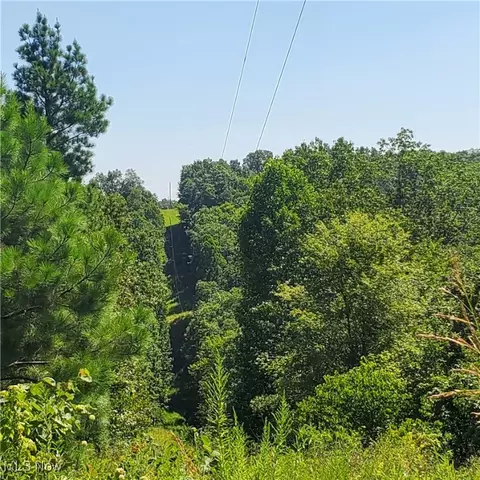 Schoolhouse Rd, Leon, WV 25123 photo 22