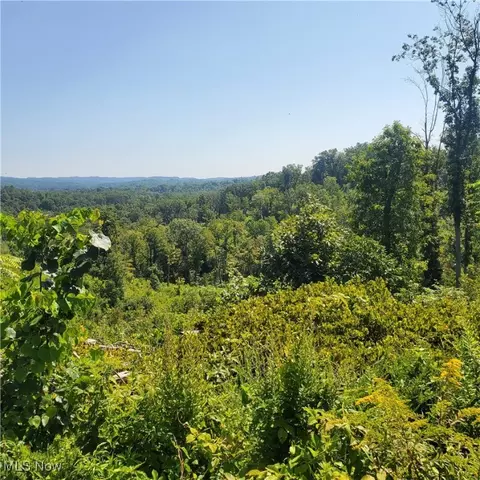 Schoolhouse Rd, Leon, WV 25123 photo 5