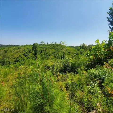 Schoolhouse Rd, Leon, WV 25123 photo 16