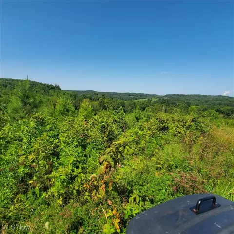 Schoolhouse Rd, Leon, WV 25123 photo 13