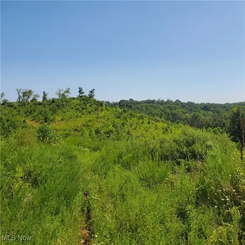 Schoolhouse Rd, Leon, WV 25123 photo 2