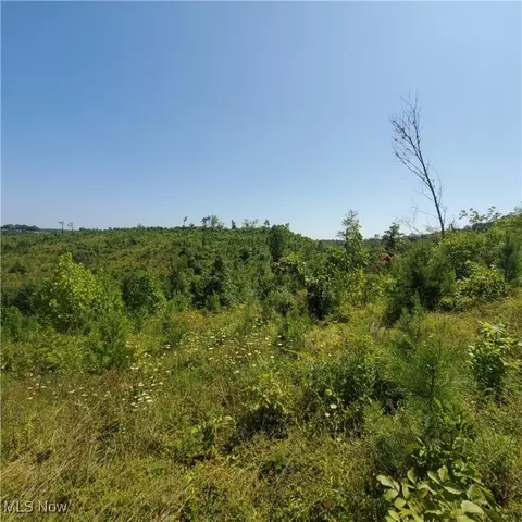 Schoolhouse Rd, Leon, WV 25123 photo 20