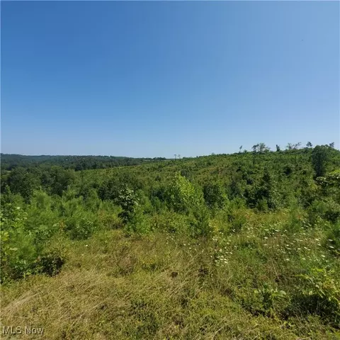 Schoolhouse Rd, Leon, WV 25123 photo 19