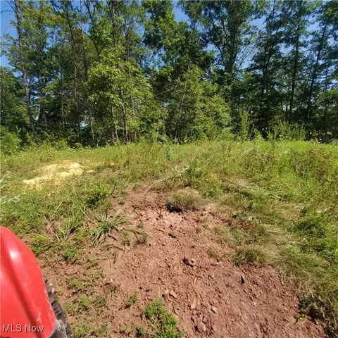 Schoolhouse Rd, Leon, WV 25123 photo 10