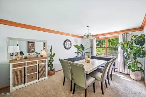 3862 Devon Dr SE, Howland, OH 44484 photo 28