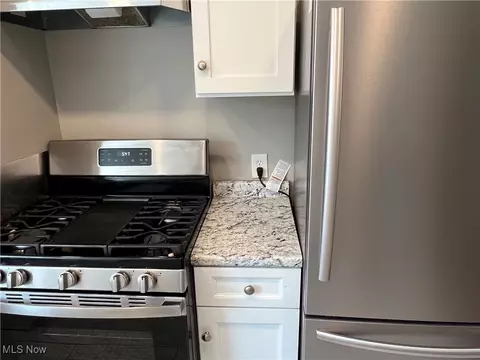 705 E 254th St, Euclid, OH 44132 photo 5
