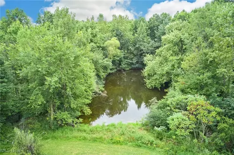 4196 Webb Rd, Shalersville, OH 44266 photo 8