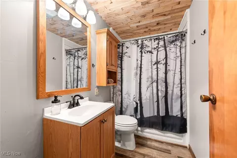 Bath - 14808 Wheeler Rd, Lagrange, OH 44050 photo 1 of 2